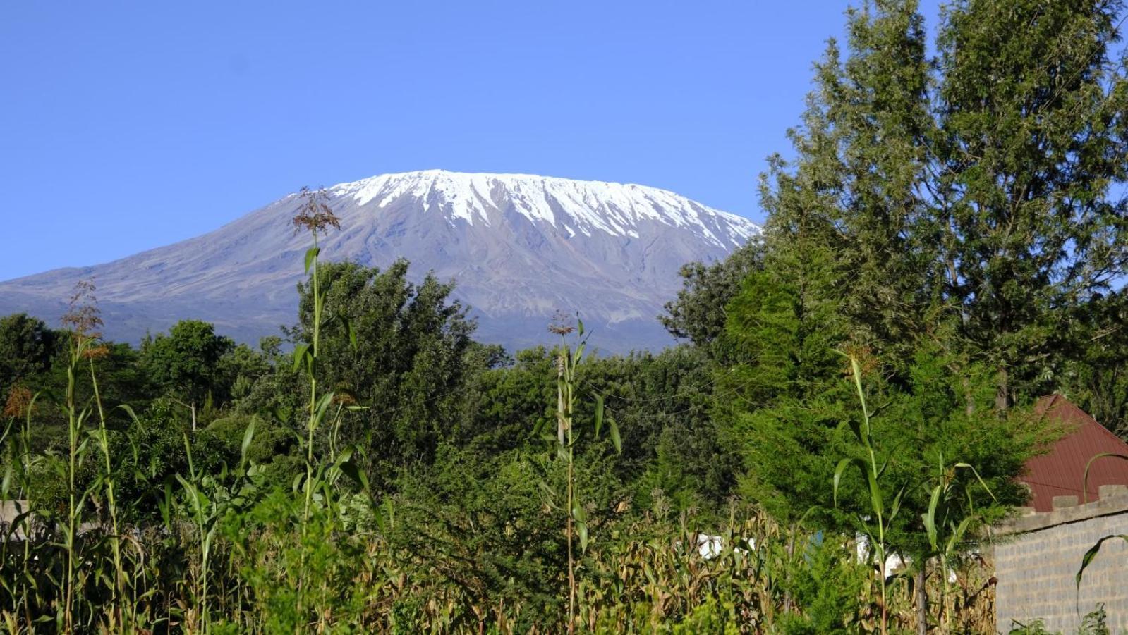 Greenfield Homestay -Full Board Oloitokitok Εξωτερικό φωτογραφία